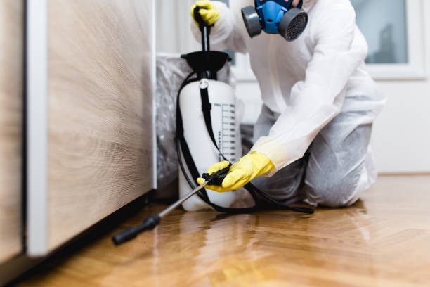 Best Pest Prevention Services  in New Madison, OH