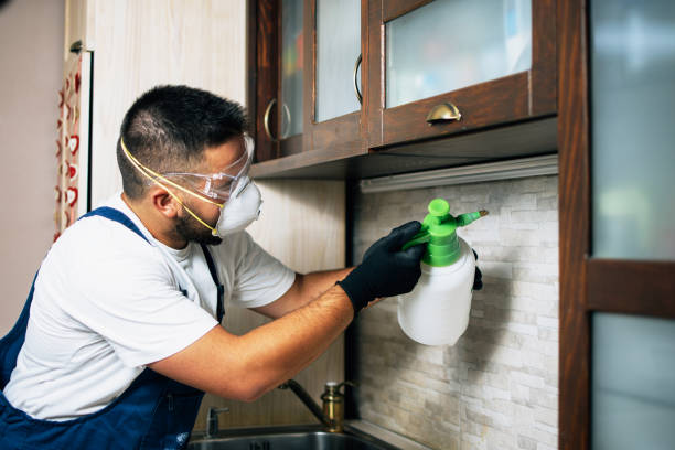 Best Affordable Pest Control Services  in New Madison, OH