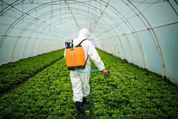 Best Pest Inspection Near Me  in New Madison, OH