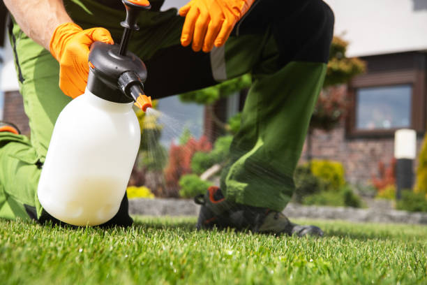 Best Ant Control Services  in New Madison, OH