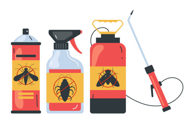Wasp Removal Services in New Madison, OH