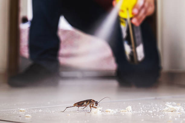 Best Residential Pest Control  in New Madison, OH