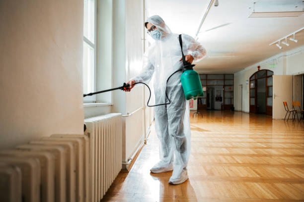 Best Bed Bug Extermination  in New Madison, OH