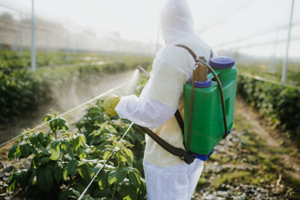 Best Commercial Pest Control Services  in New Madison, OH